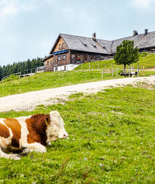 Die Stoißer Alm liegt unterhalb des 1.334 Meter hohen Teisenbergs.