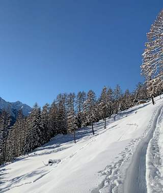 Da werden Wintermärchen wahr: Auf dem Weg zur Kaserstattalm im Stubaital