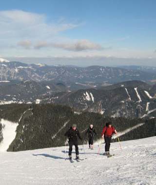 Stuhleck-Kaltenbachgraben: Zwischen Waldgrenze und Gipfel, links der Schneeberg und rechts der Sonnwendstein