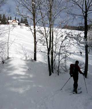 Stuhleck-Rettenegg: Austritt aus dem Waldgraben auf die Zwieselbauerwiesen