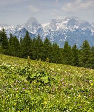 Mauritius Images/Image Broker/Robert Seitz 