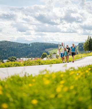 Unterwegs am Panoramaweg Diex