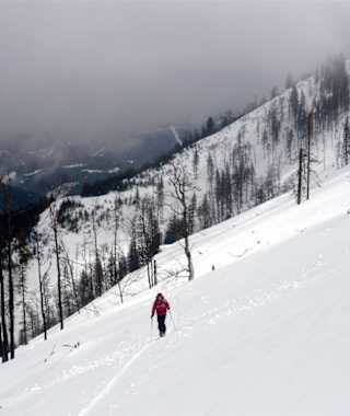 Aufstieg durch den lichten Hochwald des Gipfelhanges