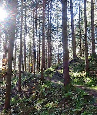 Sunnseitnweg Greifenburg