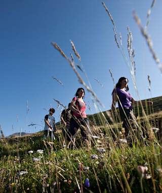 Ein Spass für die ganze Familie.