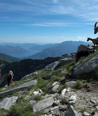 Unterwegs auf der zweiten Etappe der Via Alta Vallemaggia