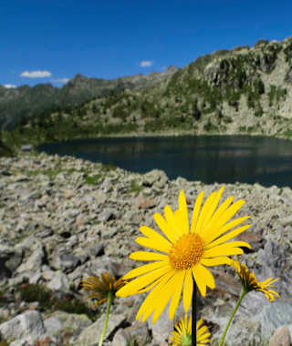 Unterwegs auf der sechsten, östlichen Etappe der Via Alta Vallemaggia