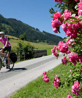 Tauernradweg oberhalb Schwarzach