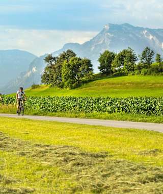 Heuernte bei Muntigl mit Untersberg im Hintergrund