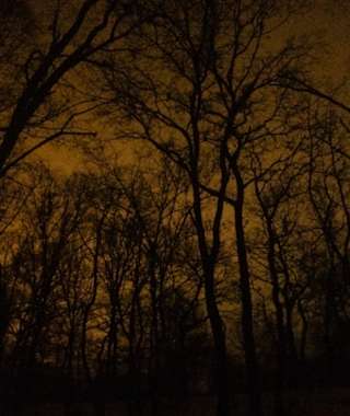 Hoia Baciu bei Cluj-Napoca