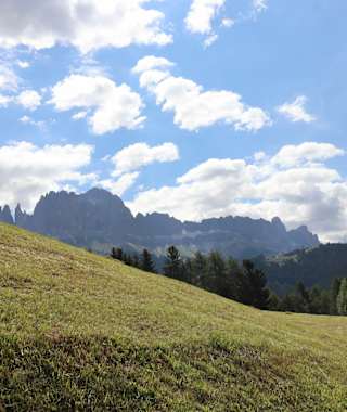 Blick auf den Rosengarten in Tiers