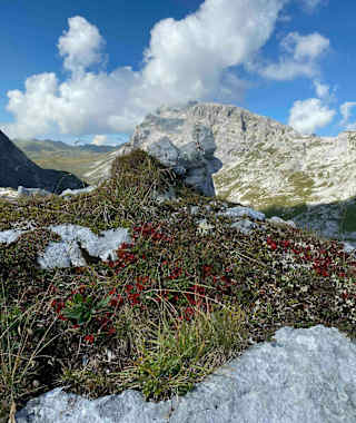 Bei der Tilisunahütte