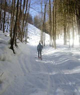 Sanfter Aufstieg durch den Wald im ersten Teil der Tour