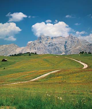 Lavarella und Cunturines von den Pralongià-Wiesen aus gesehen.