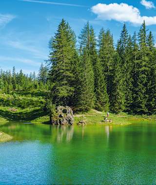 Liegewiesen säumen das Ostufer des Grünen Sees.