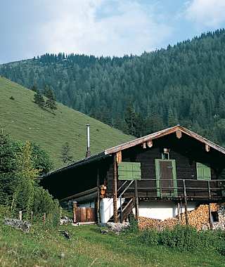 Im Trockenbachtal auf der Südwestseite des Trainsjochs.