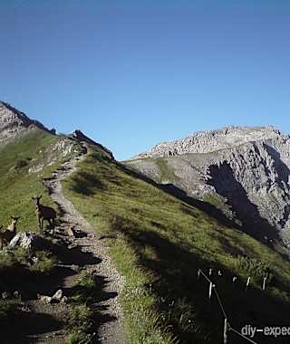 Herrlicher Gratweg zum Liechtensteiner Augstenberg