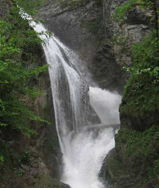 Trefflingfall