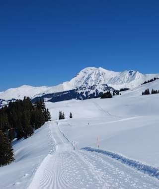Winterwanderwege am Rand des Skigebiets Lenk-Betelberg