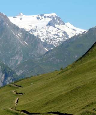 Durch die Bergwiesen