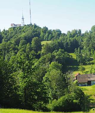 Blick zum Uetliberg