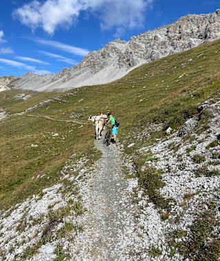 Vom Umbrailpass in Richtung Bocchetta di Forcola
