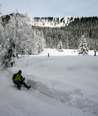 Rodelbahn von der Unteren Firstalm