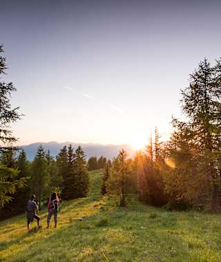 Unterwegs auf dem weichen Almboden der Hochrindl