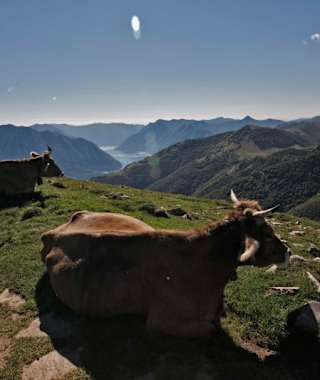 Panoramagenießerinnen