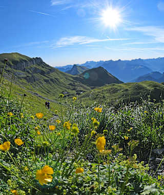 Isenthal -Klewenalp, kurz vor Hinterjochli