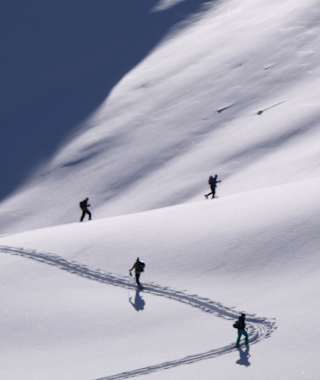 Aufstieg zum Hohen Haus