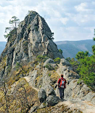An steilen Felsflanken leitet der Vogelbergsteig zur Höhe.