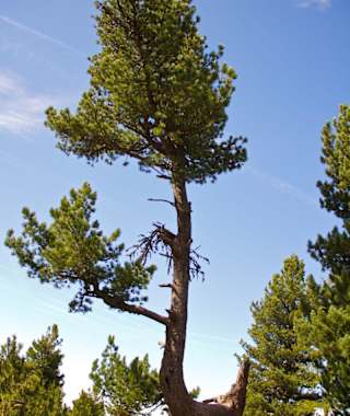 Volderwildbad - Steinkasern