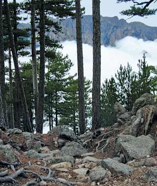 Aufstieg zur Foce Finosa