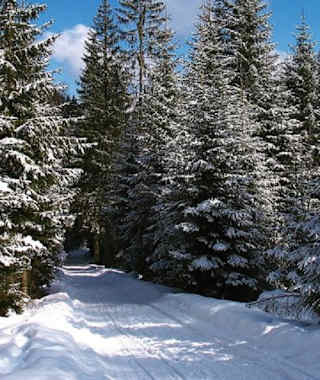 Aus dem Gsiesertal auf die Kradorfer Alm