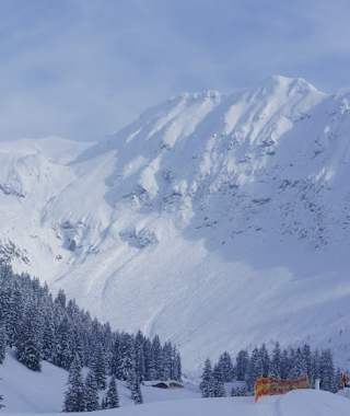 Rodeln vom Gunzesrieder Tal zur Alpe Rappengschwend