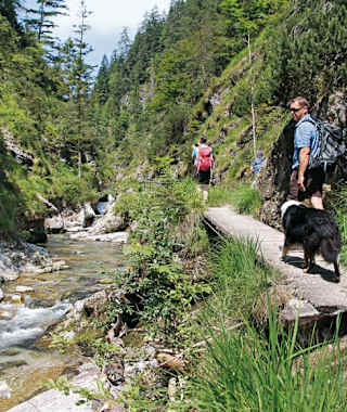 Vom Thumsee durch die Weißbachschlucht