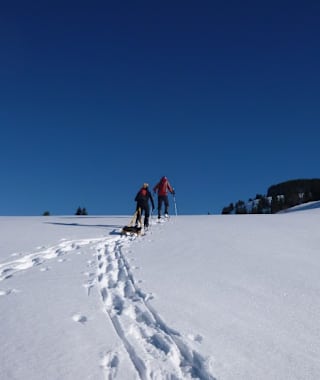 Von der Bolgenachbrücke auf den Burstkopf