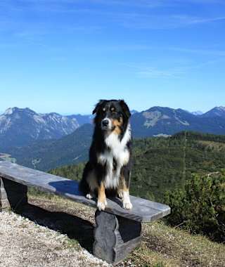 Von der Hindenburghütte über die Felsenquelle