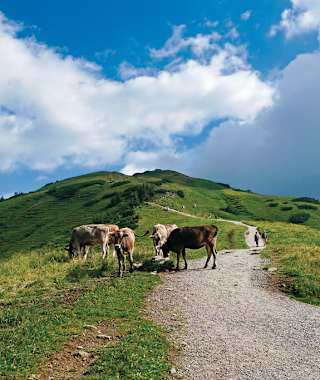 Von der Kanzelwandbahn-Bergstation auf das Fellhorn