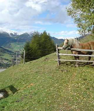 Mountainbiketour Sonnalm Stubeck