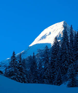 Der erste Blick zum Gschnitzer Tribulaun