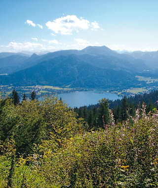 Grandioser Blick auf den Tegernsee.