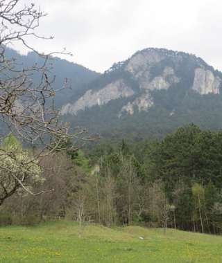 Blick zur Jubiläumsaussicht am Geyerstein