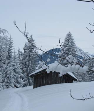 Winterwanderung am Wieseweg