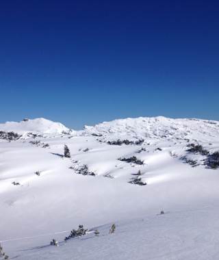 Blick auf das Toreck vom Gottesacker - eher unscheinbar