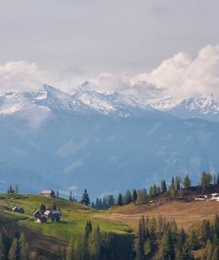 Blick vom Grazersteig aus zur Schneehitz Alm, dahinter die Gipfel der Wölzer Tauern.