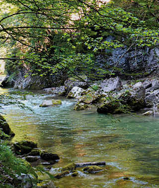 Vordere Tormäuer mit Erlauf
