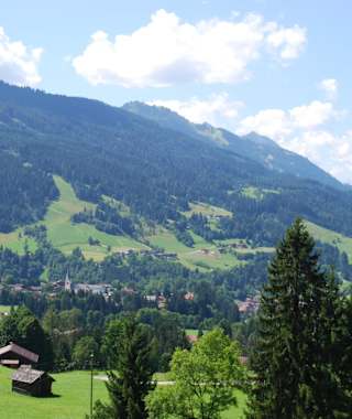 Blick ins Salzachtal