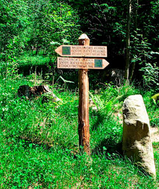 Am Walderlebnispfad in Aschbach